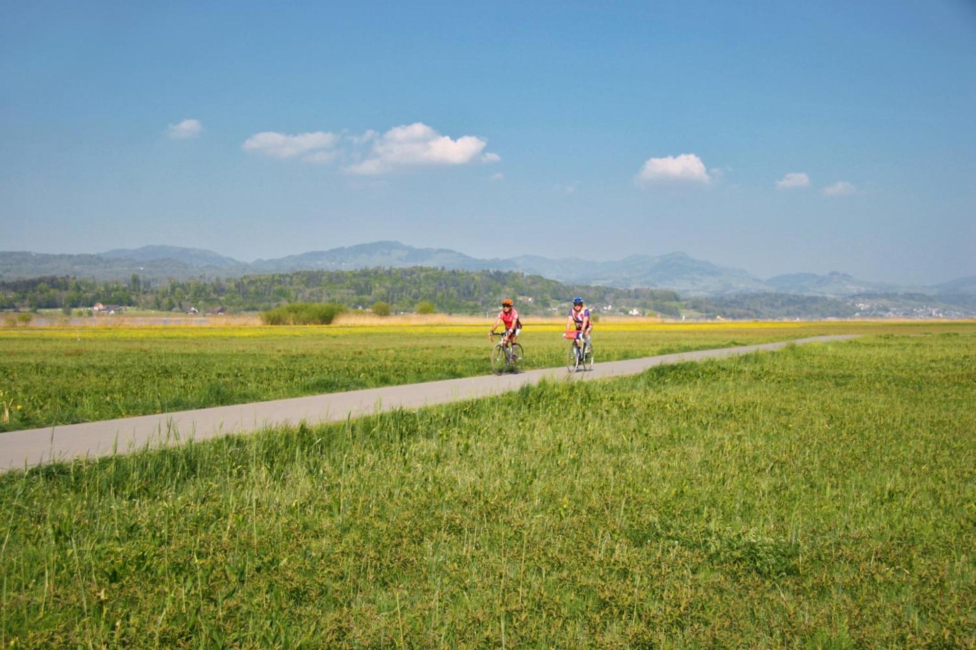 Landgasthof Zum Zimmermann Jona - Rapperswil Buitenkant foto